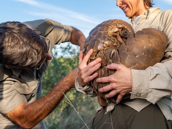 Animal Behavior & Wildlife Ecology
