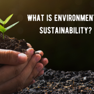 Environmental Science & Sustainability