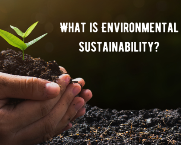 Environmental Science & Sustainability